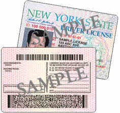 PDF417 driving licence